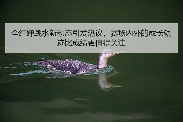 quan-hong-chan-tiao-shui-xin-dong-tai-yin-fa-re-yi-sai-chang-nei-wai-de-cheng-zhang-gui-ji-bi-cheng-ji-geng-zhi-de-guan-2-462.jpg