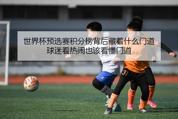 世界杯预选赛积分榜背后藏着什么门道 球迷看热闹也该看懂门道